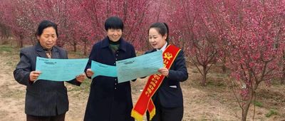 文章附图