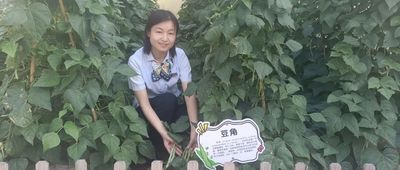 文章附图